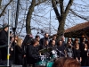 chorus_verona_progetto_alberi