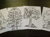 alberi_originali_bianco_nero