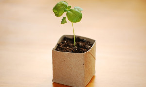 Vasetto realizzato con rotolo carta igienica esausto